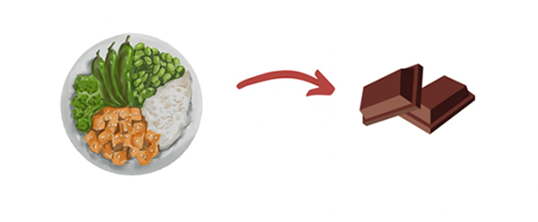 schame of a plate with vegetables and rice and arrow to chocolate