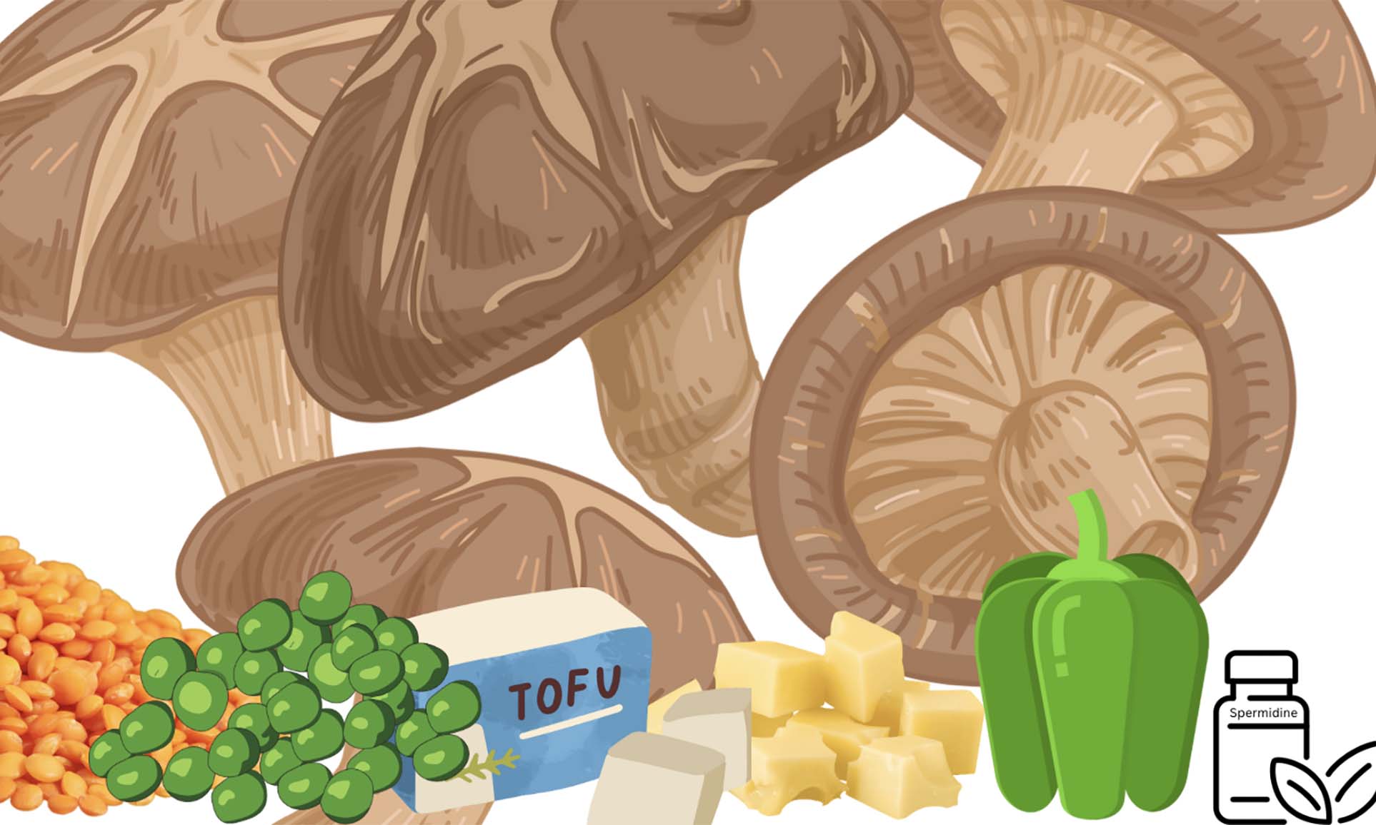 Drawing of muchrooms, tofu, cheese, beans and peas